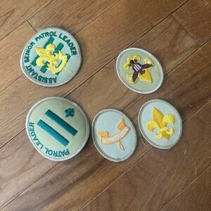 Lot of 5 Boy Scout Patches